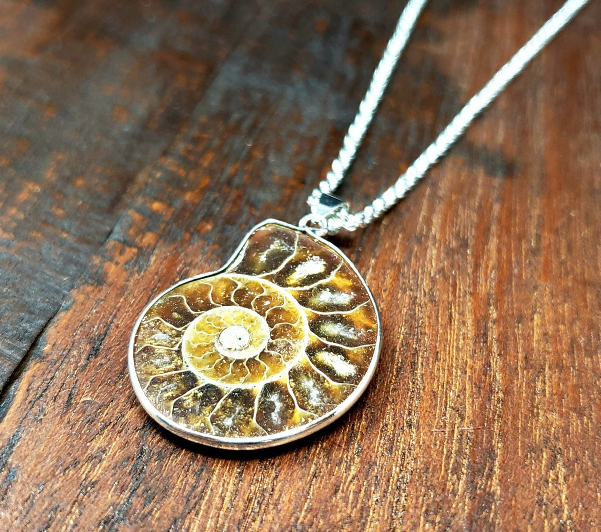 Ammonite Fossil Necklace