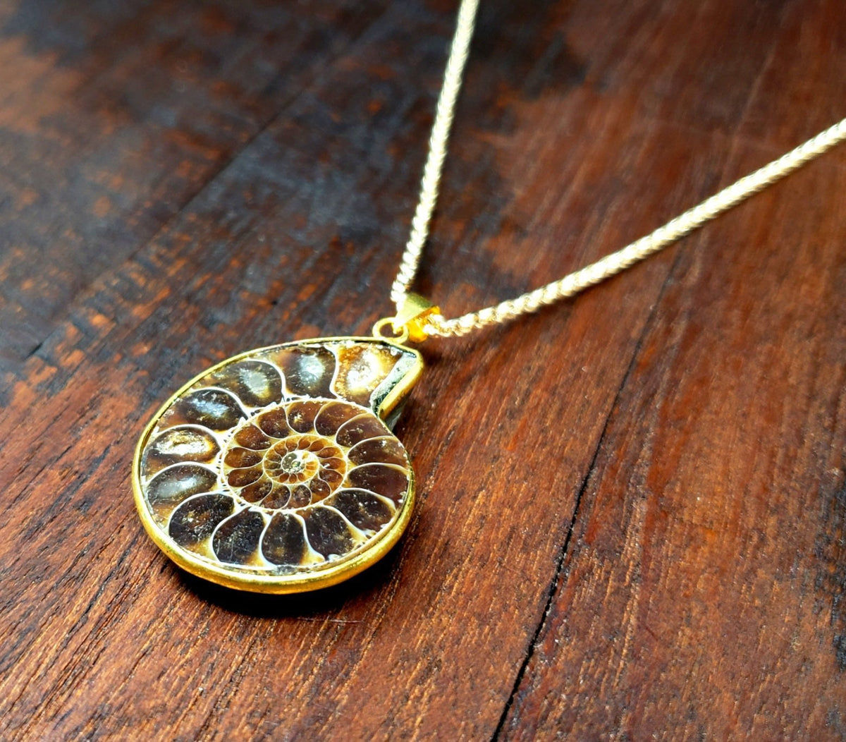 Ammonite Fossil Necklace